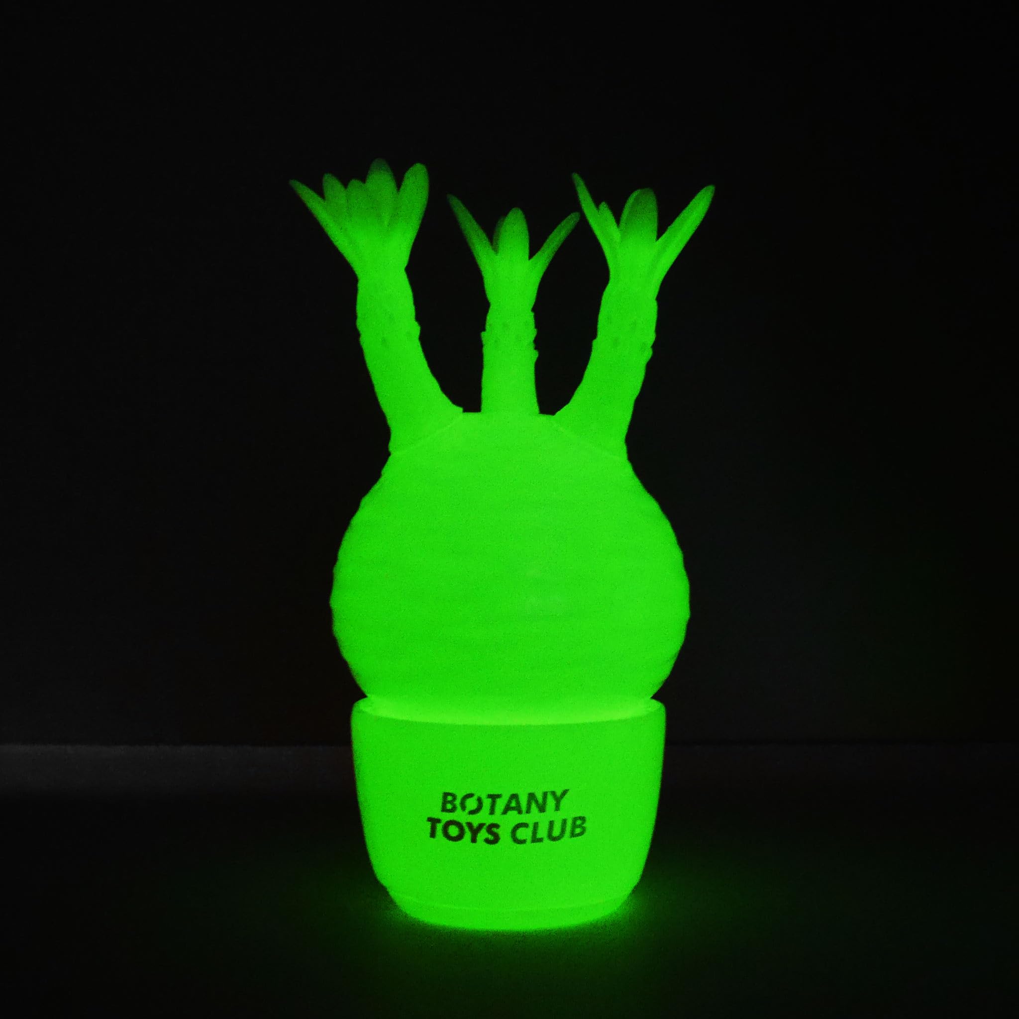 パキポディウム・グラキリス 【 ソフビ 】 Amazon.co.jp: ボタニートイズクラブ Pachypodium Gracilius